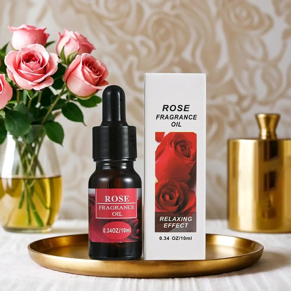 10ml Car Perfume Refill Liquid Flavor Essential Oil with Dropper Car Air Freshener Refill For Air Humidifier Home Auto Fragrance