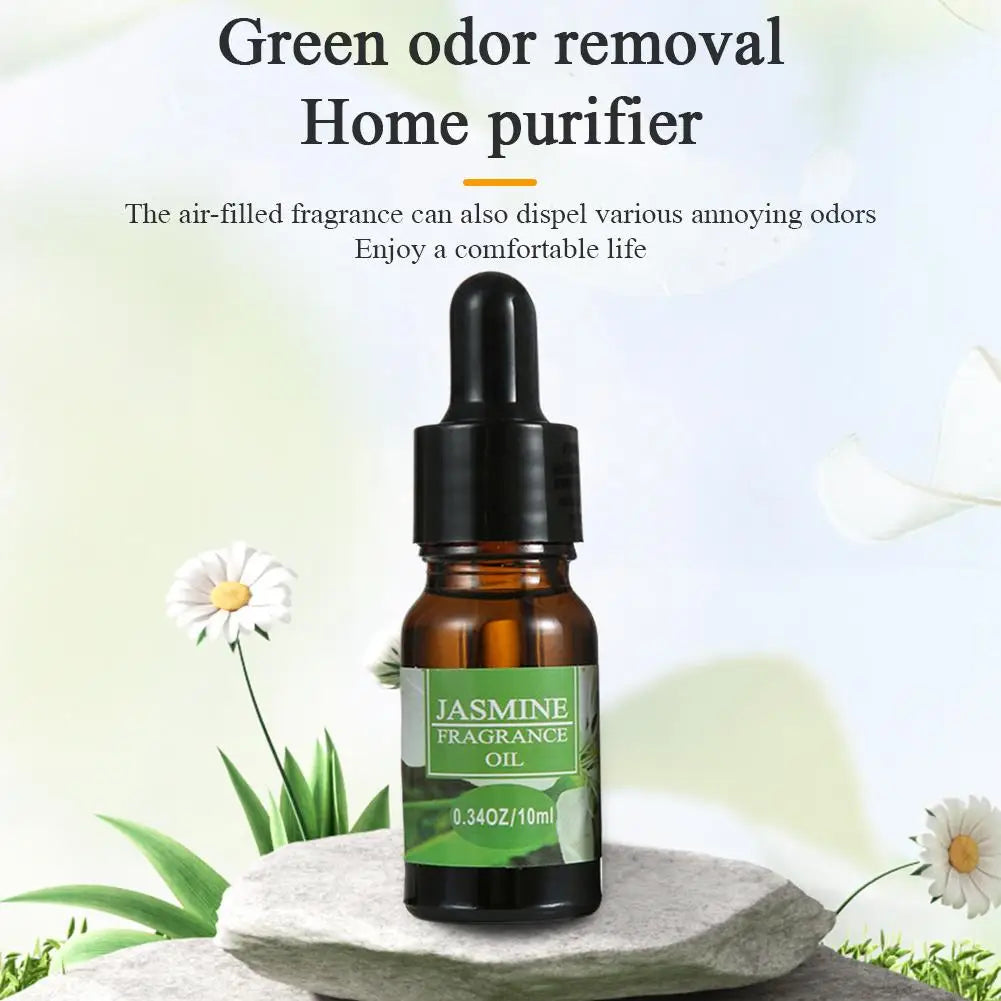 10ml Car Perfume Refill Liquid Flavor Essential Oil with Dropper Car Air Freshener Refill For Air Humidifier Home Auto Fragrance