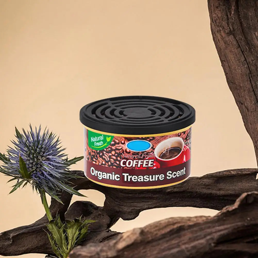 Car Flavoring Perfume Wood Blocks Lavender Bubble Gum Cherry Flavor Cans For Car Interior Odor Removal Air Freshener Supplies